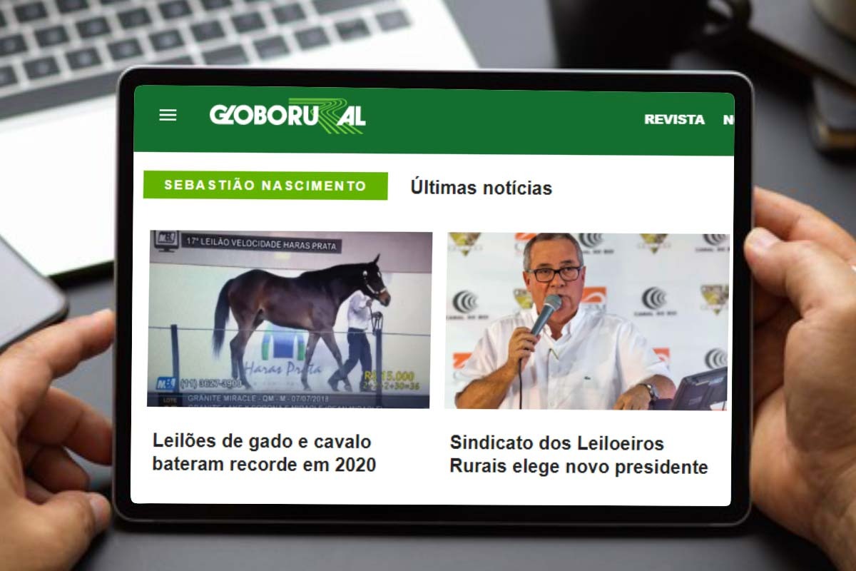 Mercado de leilÃµes Ã© destaque de coluna da Globo Rural